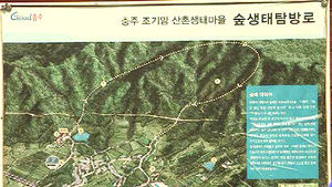 [청주] 애물단지로 전락한 산촌생태마을
