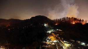 포항 산불 방화혐의 중학생 검거