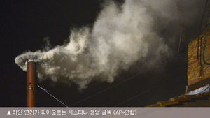 교황선출 흰 연기 앞서 굴뚝찾은 흰새가 '성령'(?)