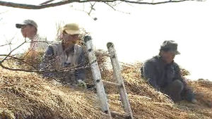 '전통문화 재현' 제주 초가지붕잇기 행사 한창