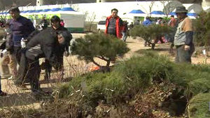 옥천서 '묘목축제' 개막&hellip;전국서 관광객 몰려
