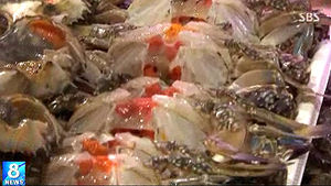 '낮은 수온&middot;남북관계 악화' 꽃게마저 숨었다