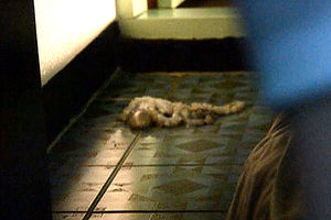 '낙지 살인' 피의자 2심 무죄&hellip;法 "질식사 여지"