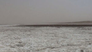 황사 발원지에 '눈비&middot;초목 제방'&hellip;최악 면하나