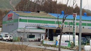 미시령 순간 풍속 25.2ｍ/s&hellip;강풍피해 속출