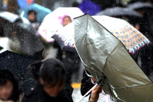 "눈 맞았어요" 서울, 20년 만에 가장 늦은 4월 눈 관측