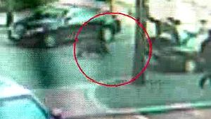 2층에서 점프하고 허공에 '붕'&hellip;멧돼지 활극