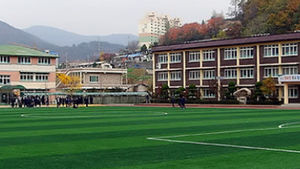 학교운동장 인조잔디 개보수에 매년 50억 투입
