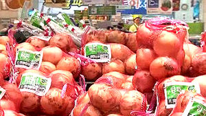 고공 행진을 하던 양파 가격 진정세&hellip;2주째 하락
