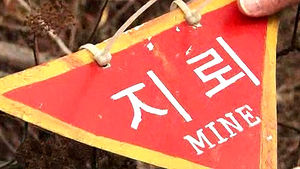 나물 캐러 갔다 지뢰 밟아&hellip;곳곳 위험지대