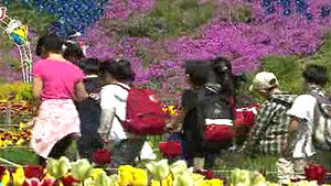 [수도권] 5월 3&sim;7일 용인 봄꽃 축제 개최