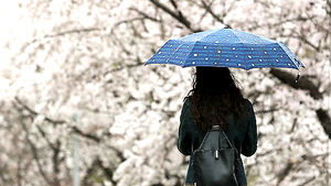 [취재파일] 또 변덕 날씨&hellip;토요일까지 비 오락가락