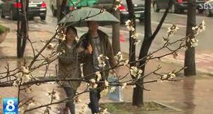 예보도 힘든 변덕 날씨&hellip;다음 주까지 '오락가락'