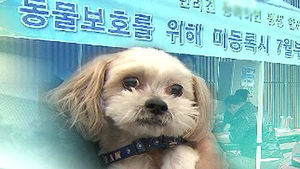 반려견 등록율 '저조'&hellip;7월부터 과태료 부과
