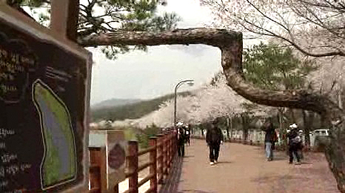 [수도권] 수원 광교저수지 수변 산책로 개방