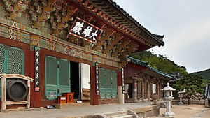 천년 고찰 범어사에서 흰개미떼 발견