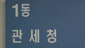 관세청, 가정의 달 맞아 유아용품 검사 대폭 강화