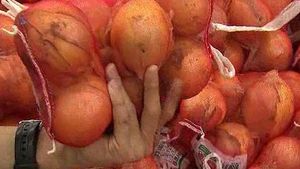 '천정부지' 양파 가격, 2주 연속 하락&hellip;안정세