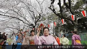 [데스크칼럼] 꽃소식이 톱뉴스인 나라