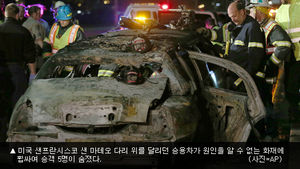 미국서 달리던 리무진서 화재로 5명 사망