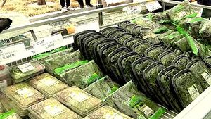 경기도 광주 친환경 농산물직거래 장터 인기