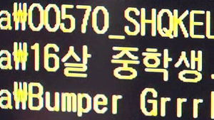 아동 음란물 등 유포자 73명 무더기 입건