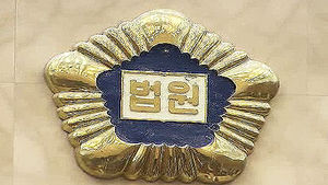 대법 "정상적인 부부 사이라도 강간죄 성립"