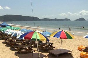강릉 사근진에 '선탠 전용 해변' 운영