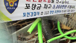 "캠핑장 바닥 조심하세요"&hellip; 발암물질 석면까지 검출