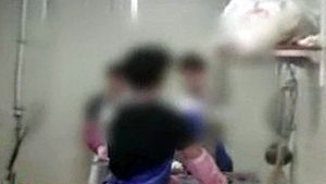 무허가로 비위생 편육 3억원어치 유통 30대 입건