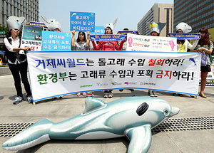 [핫포토] "돌고래 수입 중단해라"