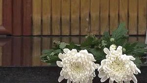 거제 모녀 교통사고 모금액 1억 넘었다