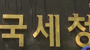 국세청, 조세회피지역 탈세 혐의 23명 세무조사