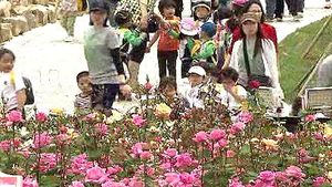 [울산] 300만 송이 장미 '활짝'&hellip;전국 최대 규모