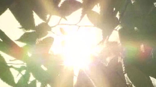 불볕더위_500