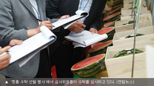 올해 가장 비싼 수박, 작년 26만 원 넘어설까?