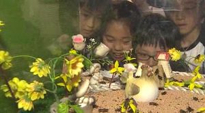 [수도권] 오산 물향기수목원에서 '곤충전시회'