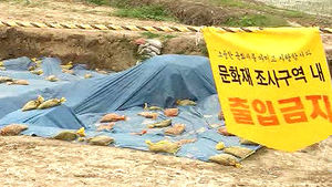 [전주] 김제 벽골제 발굴작업 중단 위기