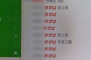 연예인 검색하자 민망한 단어&hellip;무분별 '연관 검색어'