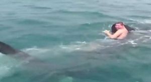 [영상] 거대 상어에 매달린 10대, 보기만 해도 '덜덜'