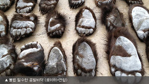 중국 최대 규모 곰 발바닥 밀수 적발