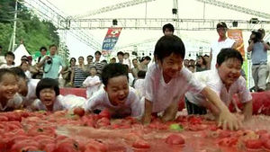 [수도권] '퇴촌 토마토 축제' 풀장 체험 인기