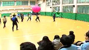 전담교사 확충&middot;수업 증가&hellip;초&middot;중&middot;고 체육 활동 활성화