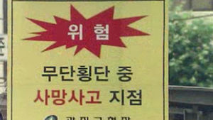 [취재파일] '합리적 선택'이 때론 위험하다