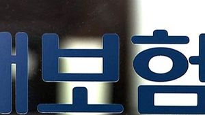 "의사&middot;변호사도 가담"&hellip;보험사기 11명 검거