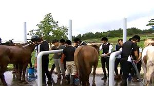 [제주] 국내 최초 말산업학 석사 5명 배출