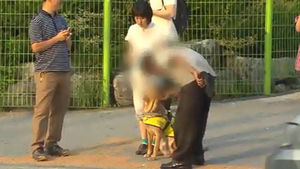 "시각장애인 돕는 안내견, 눈으로만 봐주세요"