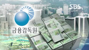 금융감독원 "대기업 40곳, 구조조정 대상 선정"