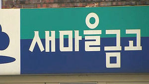 정부, '바가지 대출금리' 새마을금고 전수조사