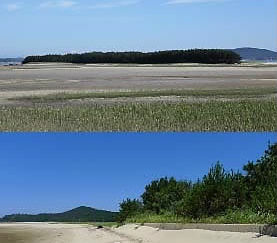 태안해안 할미섬 주변 옹벽 철거&hellip;'자연사구' 복원